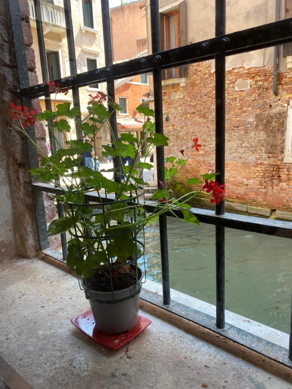 Canal View Venedig Exteriör bild